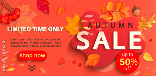 Autumn sale banner with place for text, only limited time discounts. Fall leaves, rowan berries, acorns for seasonal shopping promotion, web, flyers. Template for cards, advertise.Vector illustration.