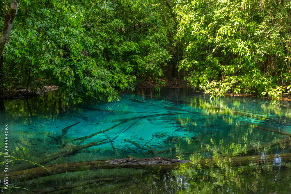 Obraz premium Emerald Pool (Sra Morakot) w prowincji Krabi, Tajlandia. Piękna scena natury z krystalicznie czystą błękitną wodą w tropikalnym lesie deszczowym.