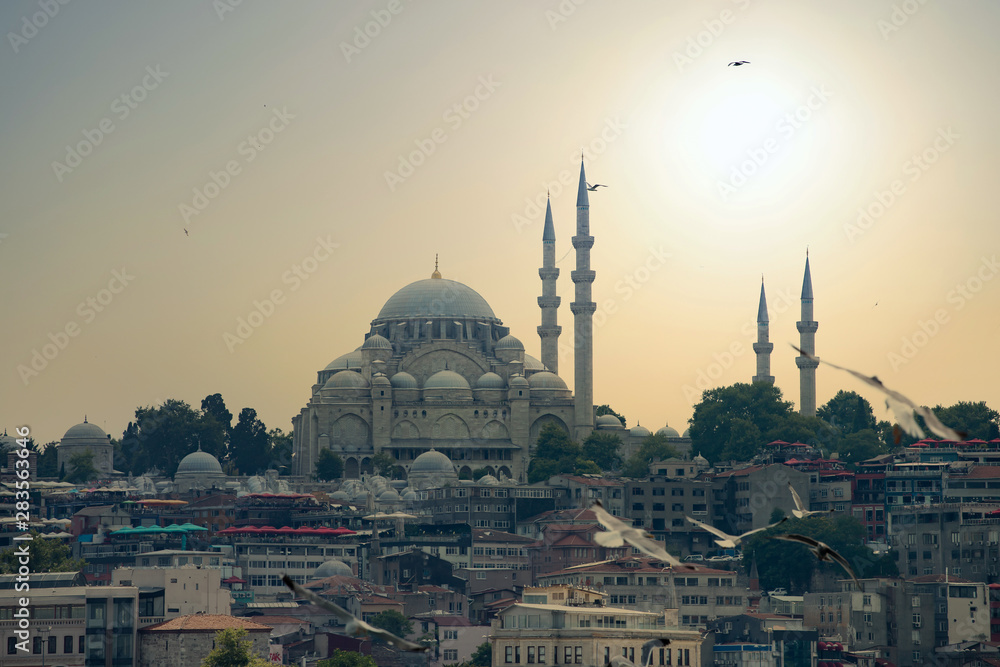 Obraz premium Istanbul the capital of Turkey, eastern tourist city.