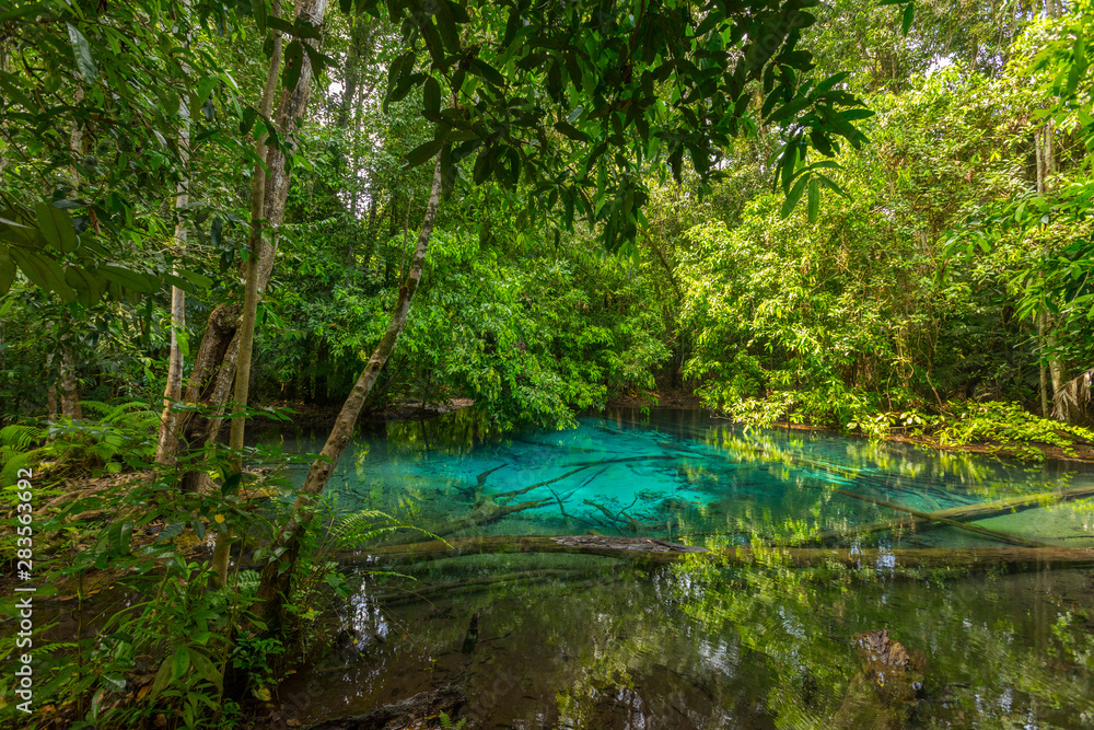 Emerald Pool (Sra Morakot) in Krabi province, Thailand. Beautiful nature scene of crystal clear blue water in tropical rainforest. Emerald Pool (Sra Morakot) in Krabi province, Thailand. Beautiful nature scene of crystal clear blue water in tropical rainforest.