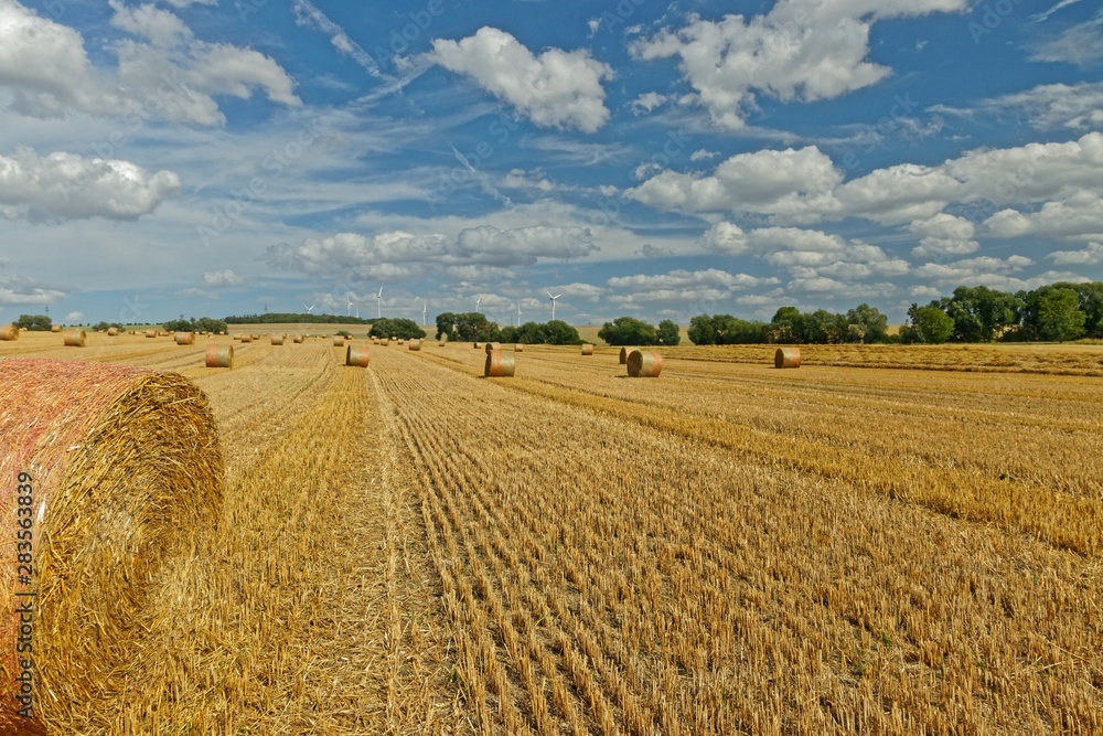 field after harvest in thuringia near Gotha