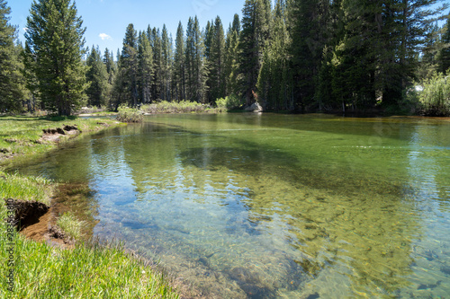 View of the clear water in the Dana Fork River in Yosemite National Park on a summer day photo