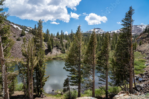 Ellery Lake along Tioga Pass road (State Route 120) in California Eastern Sierra Nevada Mountains in the summer