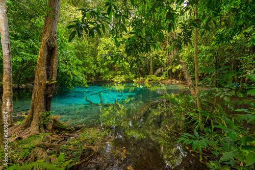 Emerald Pool (Sra Morakot) in Krabi province, Thailand. Beautiful nature scene of crystal clear blue water in tropical rainforest.