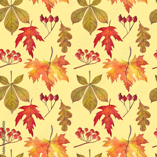 seamless pattern with autumn leaves on a white background, for decoration of autumn design and for scrapbooking.