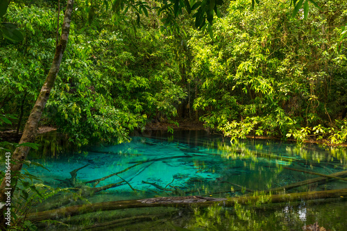 Emerald Pool  Sra Morakot  in Krabi province  Thailand. Beautiful nature scene of crystal clear blue water in tropical rainforest.