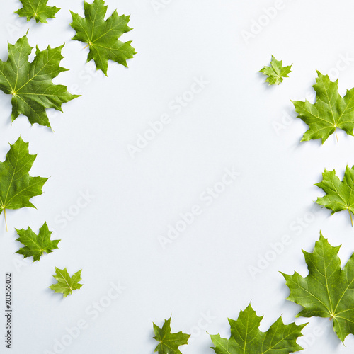 Creative maple leaves composition