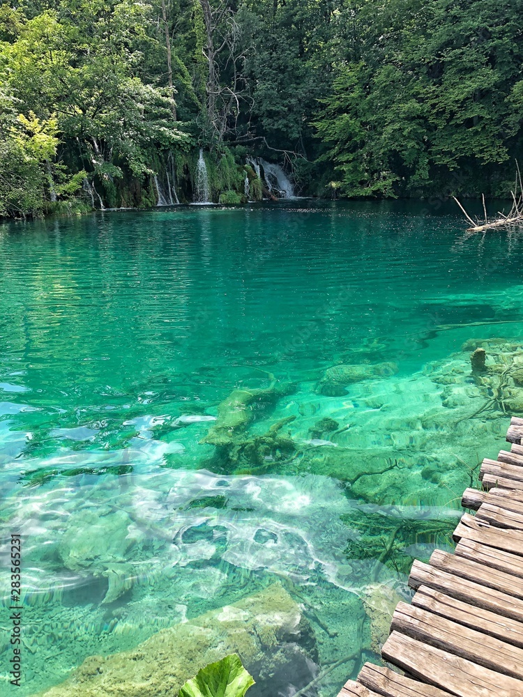 Serene swimming hole, Plitvice Lakes- Croatia 