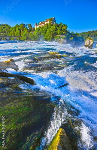 At the Rhine Falls near the city of Schaffhausen in Switzerland.