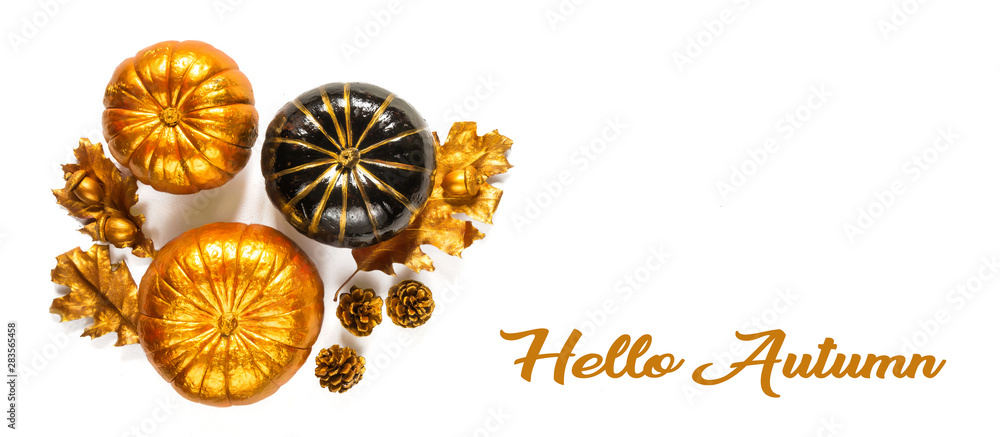 Flat lay autumn composition.Pumpkins, leaves, acorns, golden cones on a white background Frame copy space. Template fall harvest thanksgiving halloween anniversary cards Top view banner Flat lay autumn composition.Pumpkins, leaves, acorns, golden cones on a white background Frame copy space. Template fall harvest thanksgiving halloween anniversary cards Top view banner