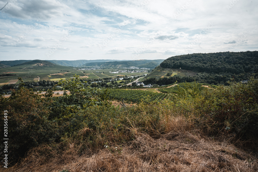 Blick auf Mosel und Weinberge von einem Wanderweg in Rheinland-Pfalz
