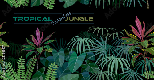 Seamless tropical forest with herbs, shrubs and many other plants. photo