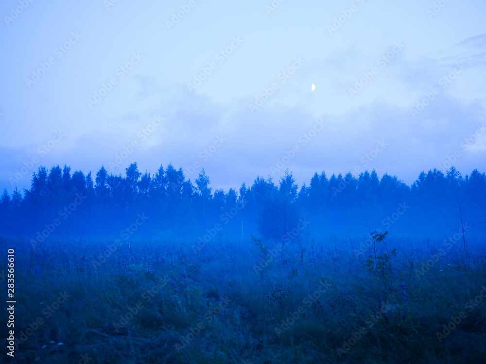 Fototapeta premium evening landscape with fog in a wild field