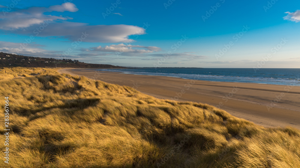 Dunes along the beach on a beautiful blue sky day, Harlech, North Wales Dunes along the beach on a beautiful blue sky day, Harlech, North Wales