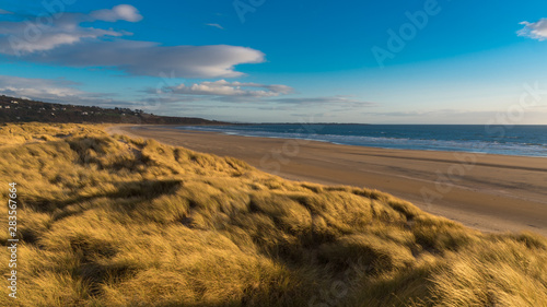 Fototapeta Naklejka Na Ścianę i Meble -  Dunes along the beach on a beautiful blue sky day, Harlech, North Wales