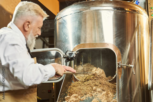 Man keeping shovel and examining quality of grist in brewery