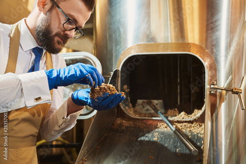 Male brewer in protective gloves examining quality of grist