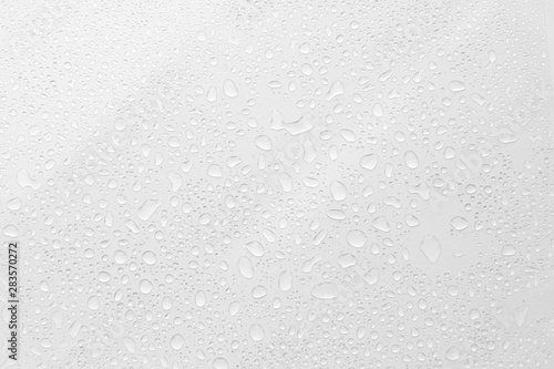 Water Drops On white Background, Texture colorful waterdrop/ photo
