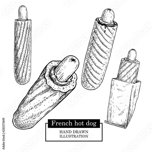 French hot dog set. Grilled sausage and bun, paper package an without. Fast food. Hand drawn sketch style street food vector illustrations collection. Isolated on white background.