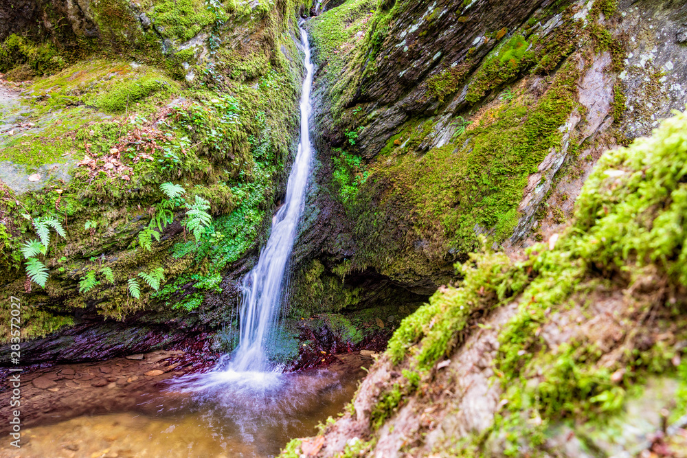 Ehrbachschlucht, wo einst die Waldnymphen badeten Ehrbachschlucht, wo einst die Waldnymphen badeten