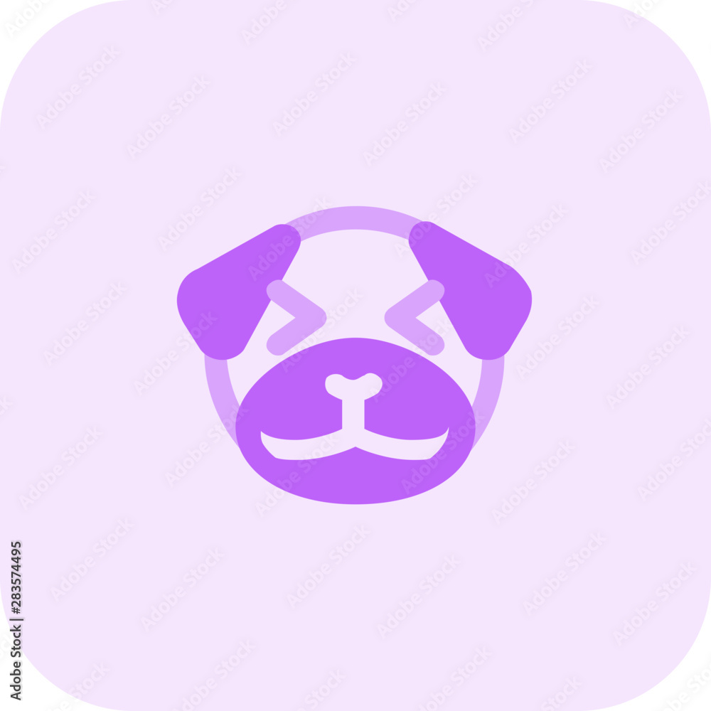 pug dog grinning and squint at same time pug dog grinning and squint at same time