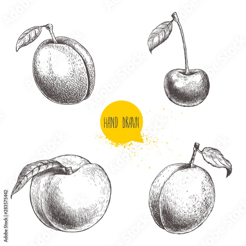 Hand drawn sketch style summer fruits set. Plum, apricot, cherry and peach. Healthy organic food. Farm market products. Best for package design. Vector illustration.