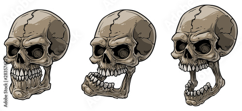 Cartoon detailed realistic colorful scary human skulls with different emotions. Isolated on white background. Vector icon set.