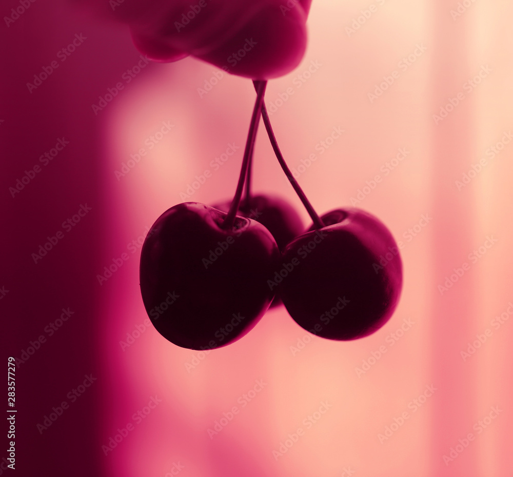 Macro photo of delicious ripe sweet cherries Macro photo of delicious ripe sweet cherries