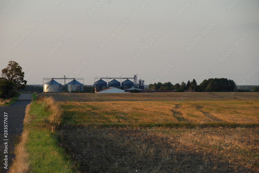 Fototapeta premium podlaska farma po żniwach