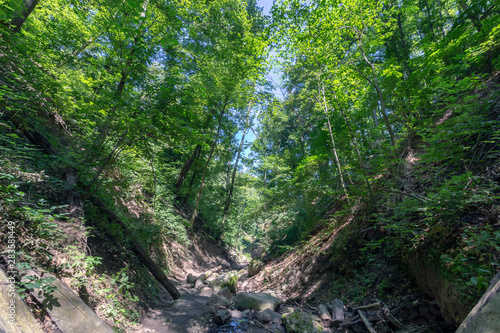 Ram canyon in the Pilis Mountains  Hungary.