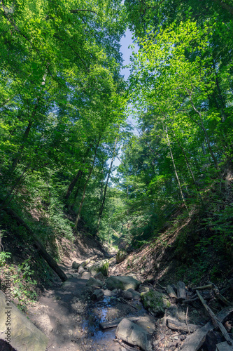 Ram canyon in the Pilis Mountains  Hungary.