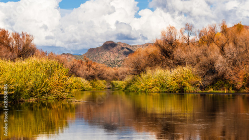 Verde River in the Fall