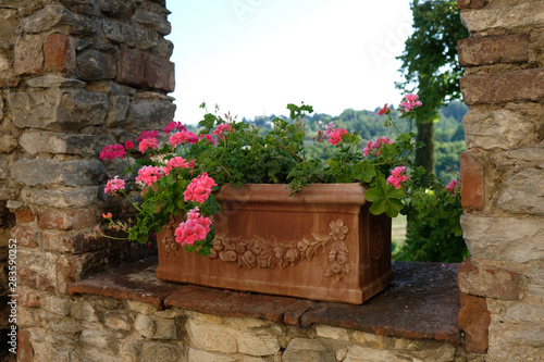 View to pink flowers through a castle wall. Galluzzo Italy, Firenze. photo