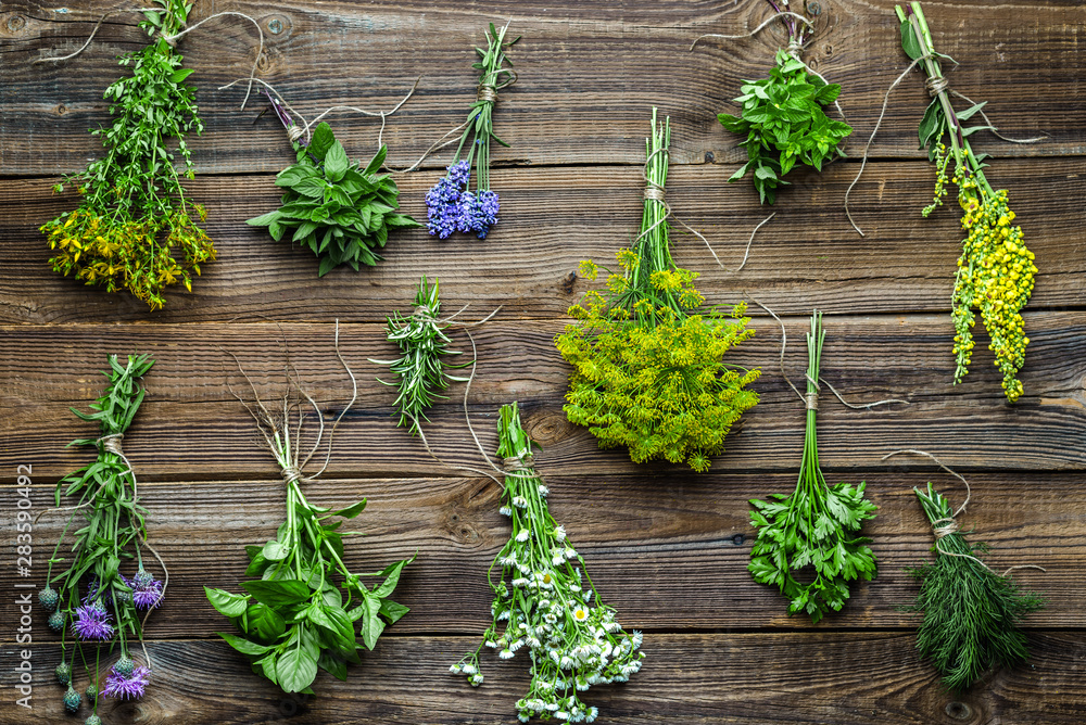 Bunches of herbs from the garden on wooden background. Fresh herb collection. Bunches of herbs from the garden on wooden background. Fresh herb collection.