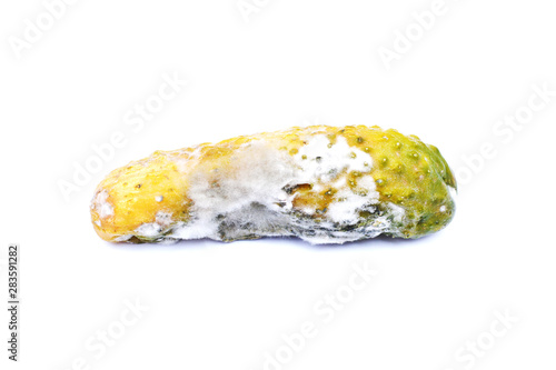 Rotten cucumber with fungus isolated on white background