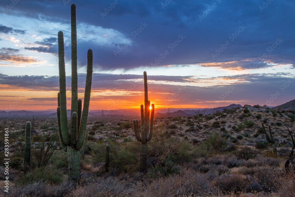 Arizona Desert Sunset With Sun Rays