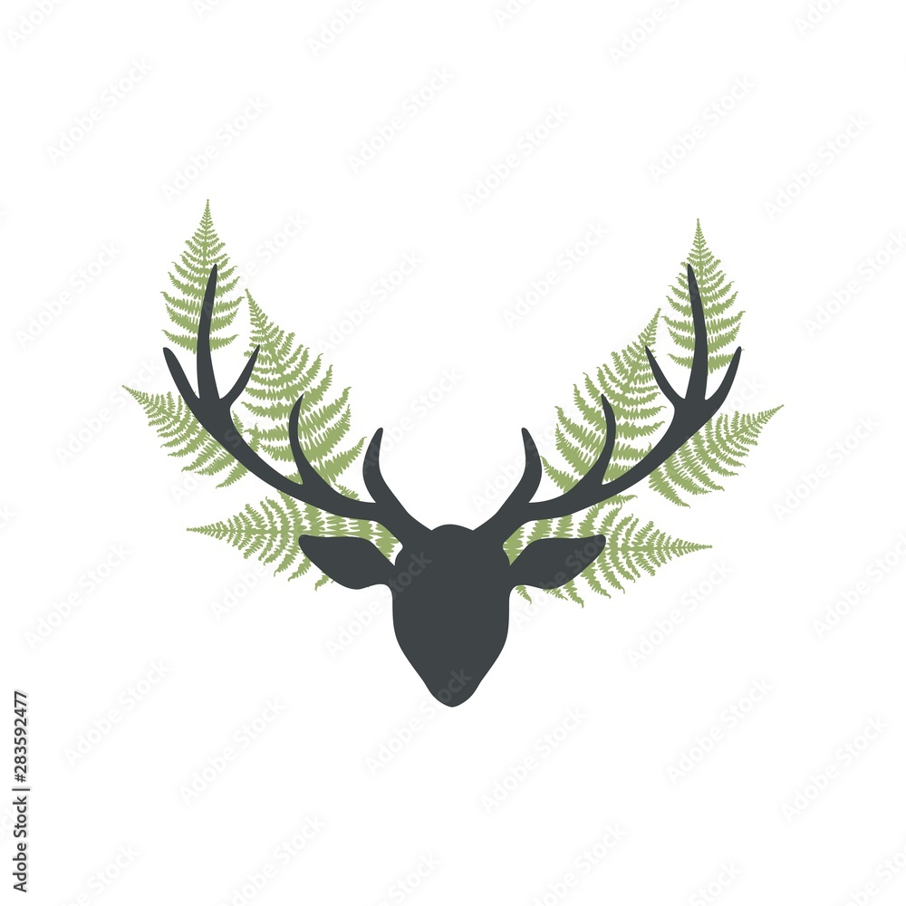 Fototapeta premium Deer horns and fern