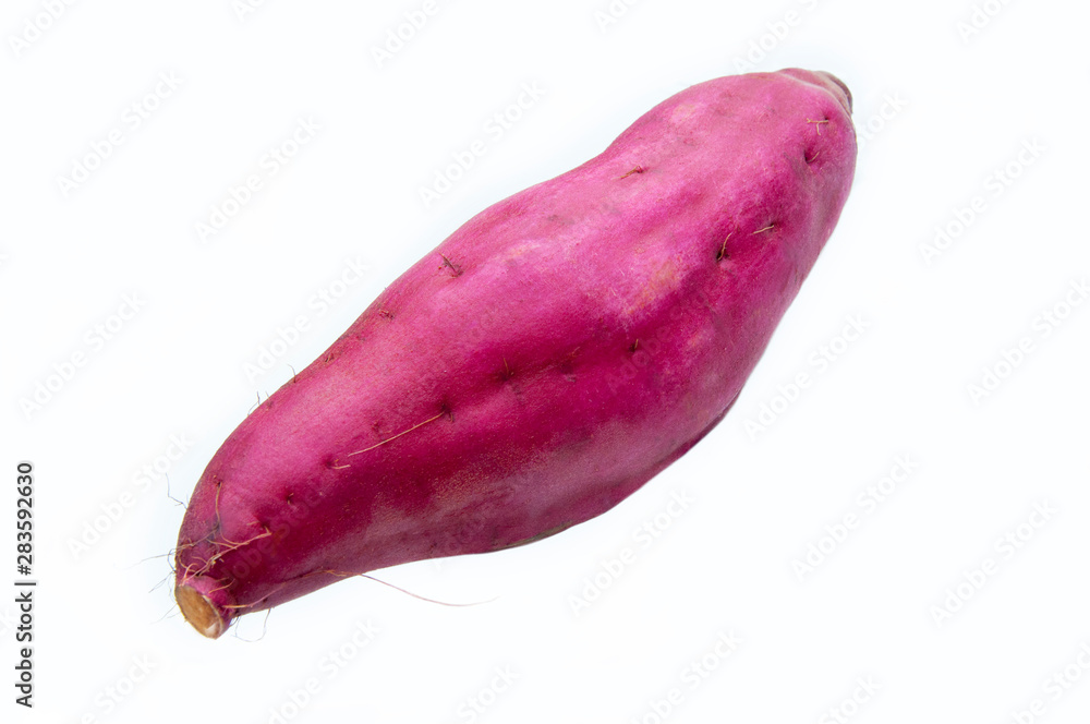 Rhizome staple food, sweet potato Rhizome staple food, sweet potato