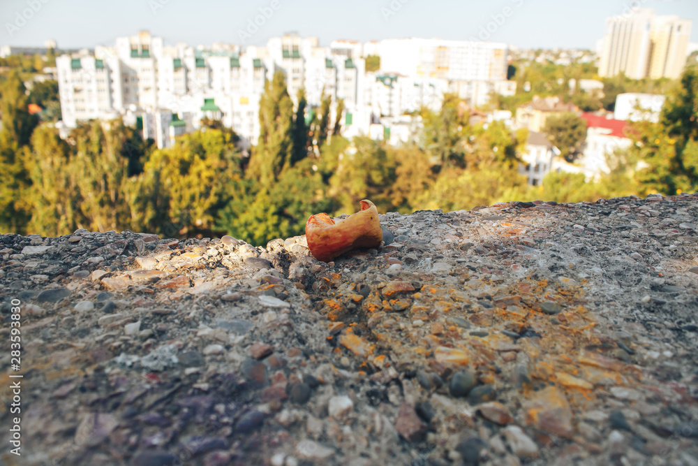 Obraz premium Apple core on the background of the city