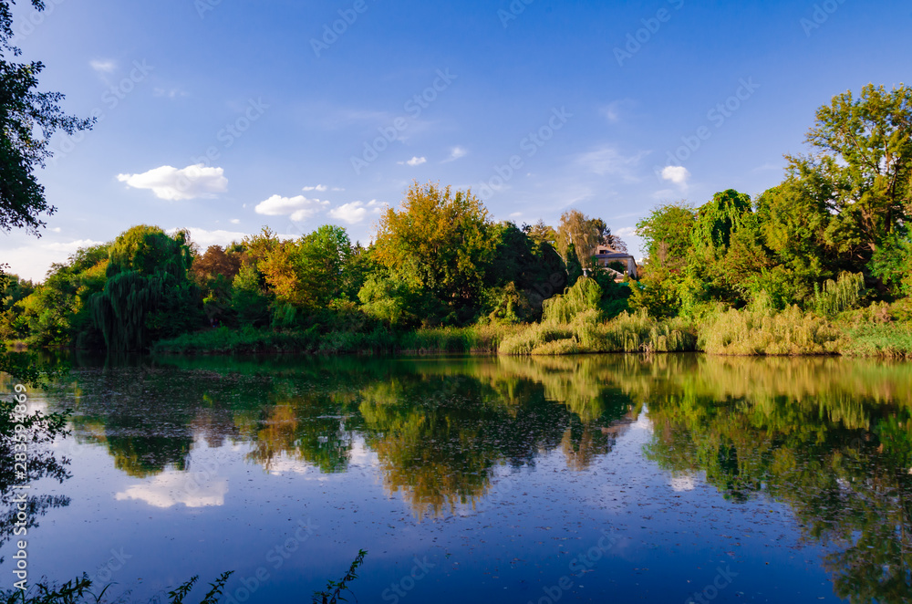 Obraz premium beautiful autumn landscape, bright trees on the shore of a pond