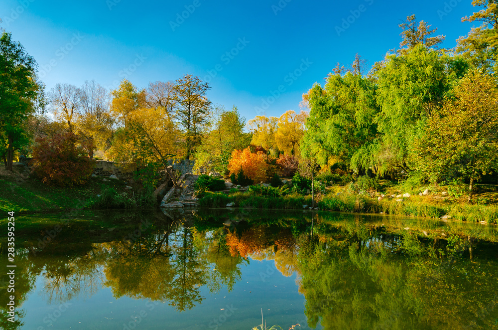 beautiful autumn landscape, bright trees on the shore of a pond