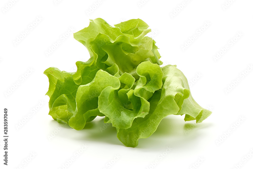 Lettuce Salad leaf, isolated on white background - obrazy, fototapety, plakaty 