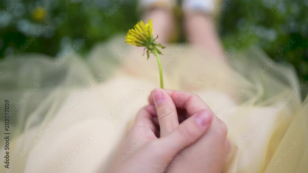 Yellow flower in hands of the young girl Yellow flower in hands of the young girl