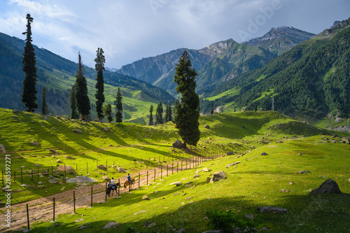 Photography Beautiful landscape view of Sonamarg in Thajiwas park in Jammu and Kashmir, Indi