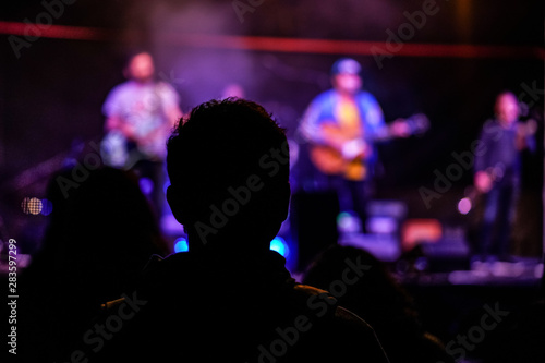 Silhouette of young man at music gig, view from behind, blurred musicians with guitars in background © Lubo Ivanko