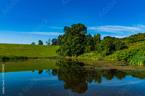 Fototapeta Naklejka Na Ścianę i Meble -  landscape with lake and blue sky