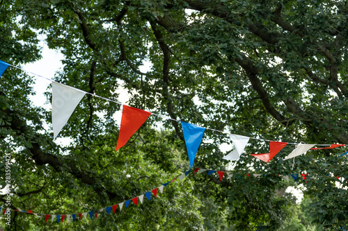 Bunting flags hanging in trees, garland