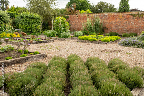 Vegetable garden at Hampton Court Castle gardens Hope under Dinmore Herefordshire England photo