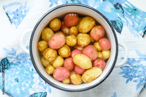 Washed untreated potatoes in water in a saucepan
