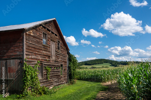 Old Barn with a View to a Hudson Valley Cornfield